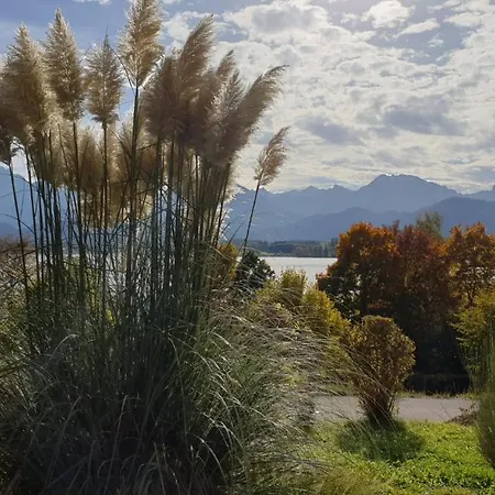 Apartman Amberg Hopfen Am // Hopfensee // *